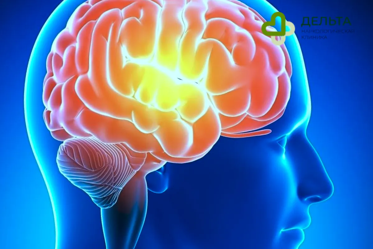 Нарушения в мозге человека как фактор развитии психопатии Мозг человека